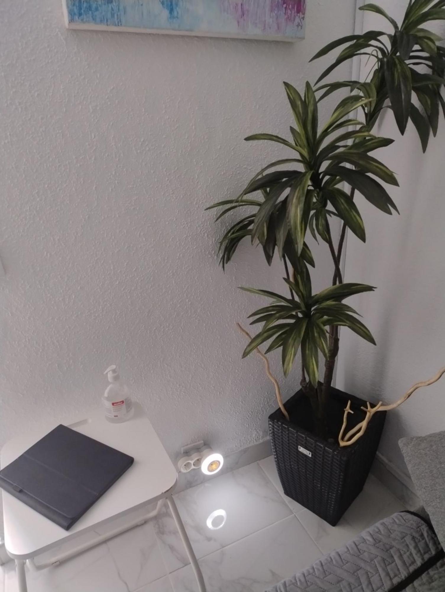 Apartamento El Estudio De Nahuel